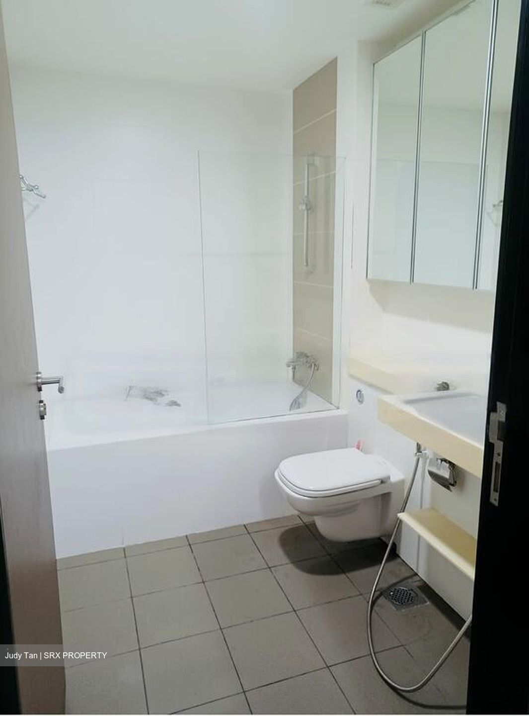 Mount Sophia Suites (D9), Apartment #462084081